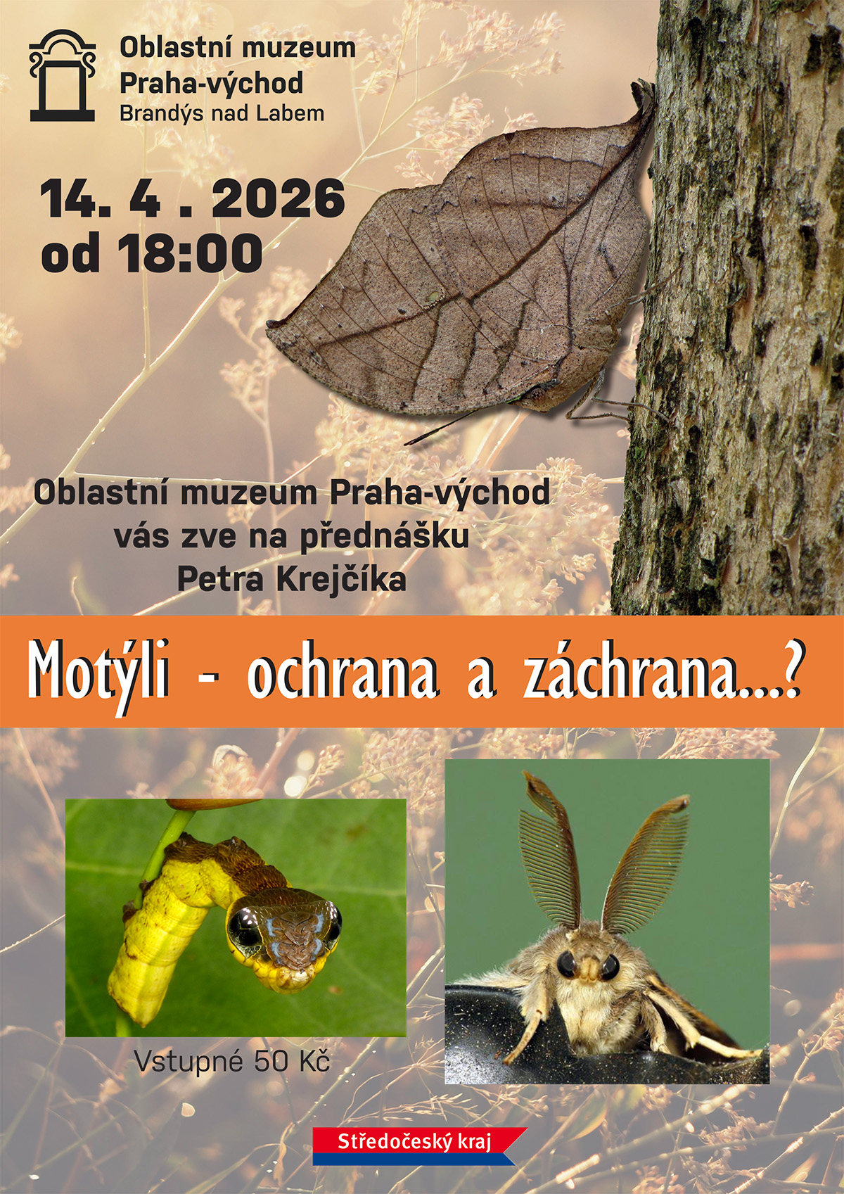 pl motyl